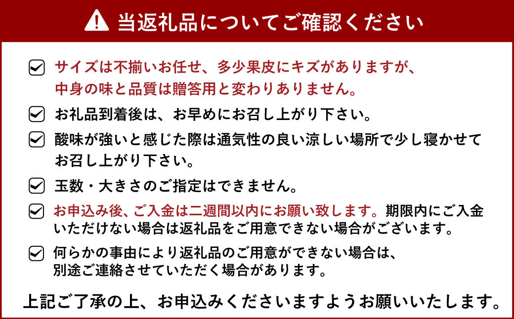 宇城市産 あーちゃん家の不知火 訳あり 10kg【2025年4月上旬~5 宇城市産 あーちゃん家の不知火 訳あり 10kg【2025年4月上旬~5