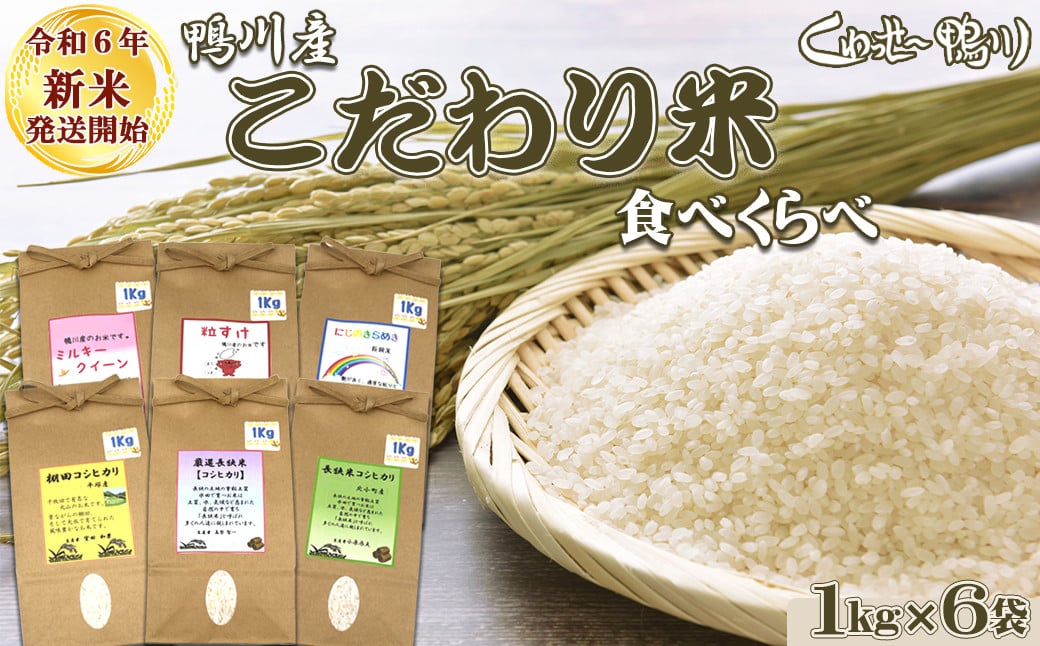 新米 令和6年産 米 お米 米10kg （5kg×2袋） ミルキークイーン