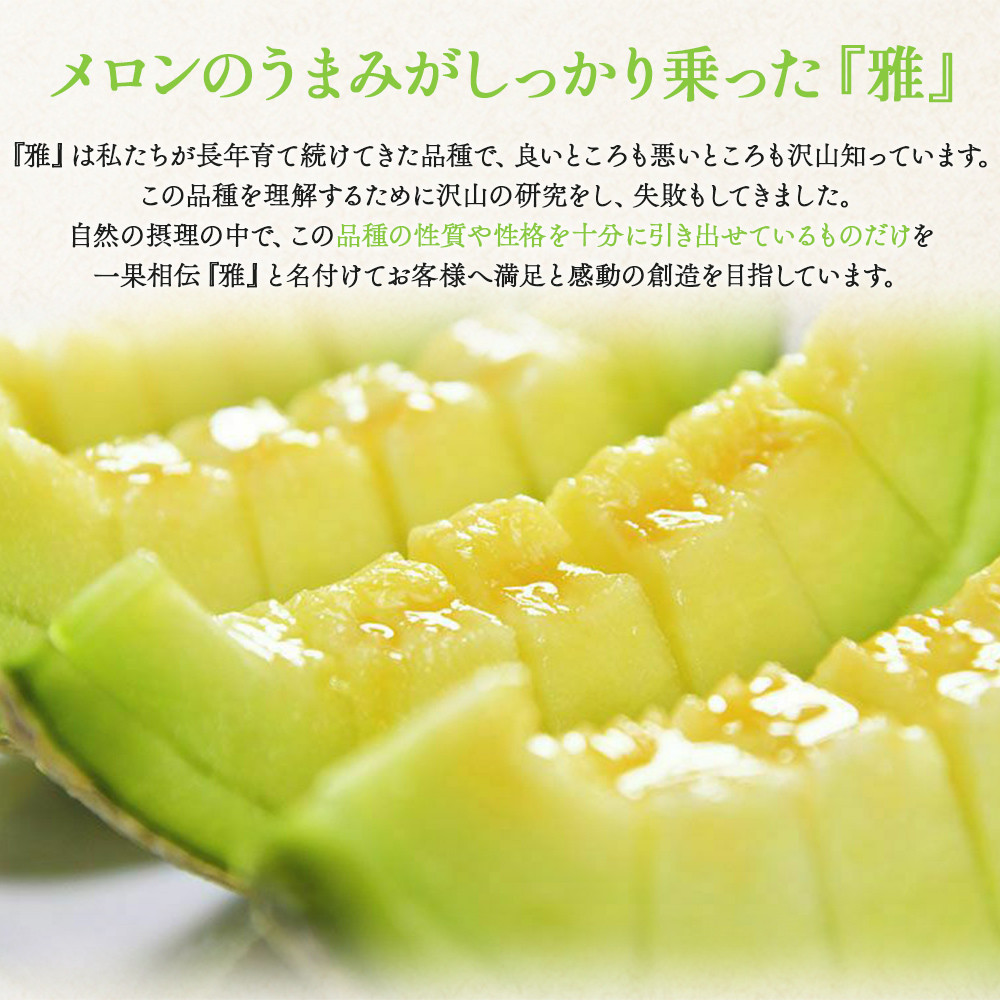 赤肉 メロン 青肉 訳あり 2玉 家庭用 高級 赤青セット 雅&妃 赤肉 メロン 青肉 訳あり 2玉 家庭用 高級 赤青セット 雅&妃
