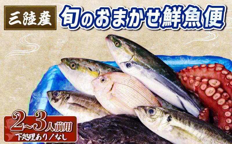 何が届くのかお楽しみ！ 下処理あり／なしを選ぶことができます！