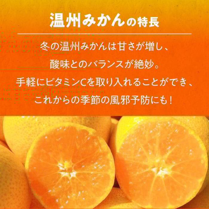 見た目も楽しい鮮やかオレンジのザ・みかんです。