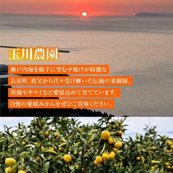 祖父から受け継ぎ三代目!伝統続く玉川農園