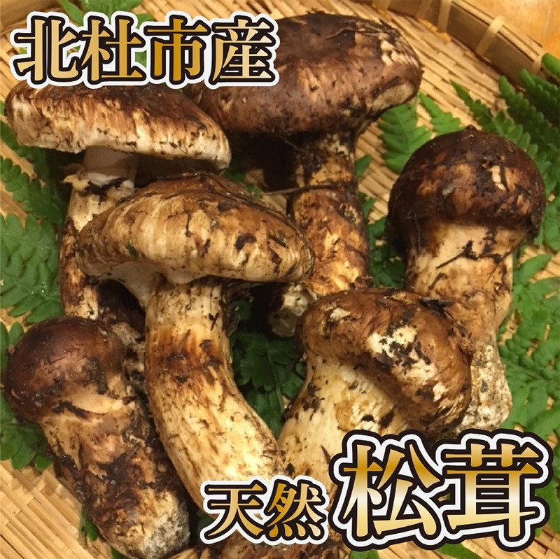 極上天然松茸』（200g） 山梨県北杜市産・朝採り・産地直送 - 山梨県北杜市｜ふるさとチョイス - ふるさと納税サイト