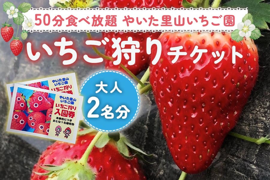 50分 食べ放題 いちご狩り チケット！やいた里山いちご園【大人2名分】｜とちあいか スカイベリー とちおとめ かおり野 イチゴ 苺 いちご 収穫体験  観光 旅行 フルーツ 果物 果実 栃木県 矢板市 [0598] - 栃木県矢板市｜ふるさとチョイス - ふるさと納税サイト