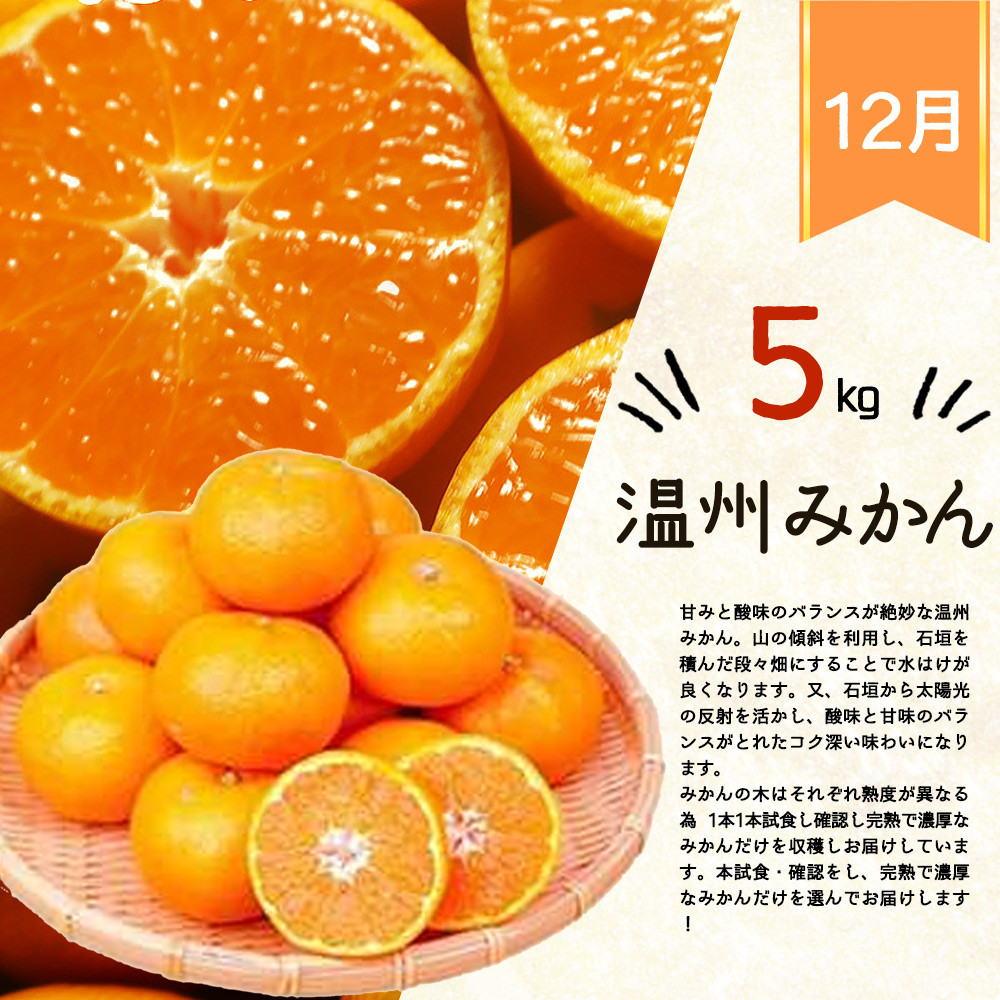 温州みかん　3kgの詳細はこちら