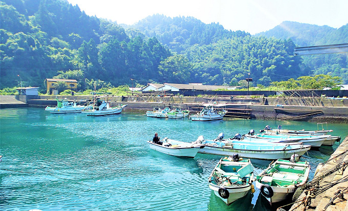 写真