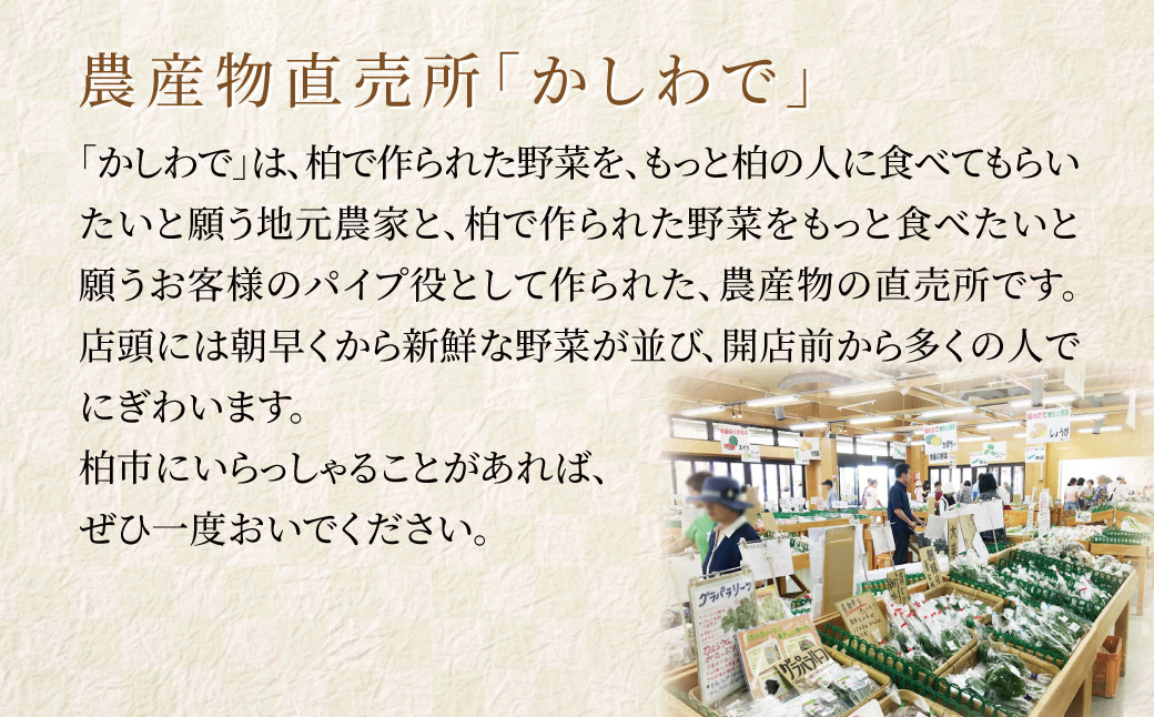 コシヒカリ10kg 〈 2024年産 米 お米 新米 コシヒカリ 白米 ご飯