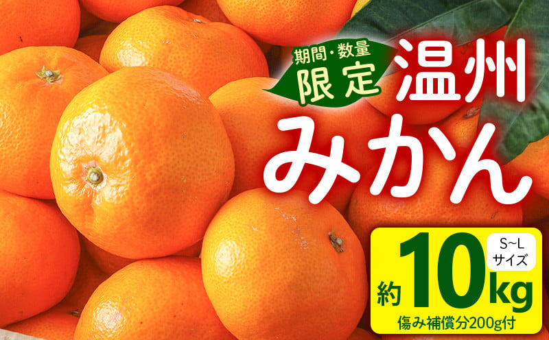 温州みかん 10kg（傷み補償分200g付き）_M249-001 - 宮崎県宮崎市｜ふるさとチョイス - ふるさと納税サイト