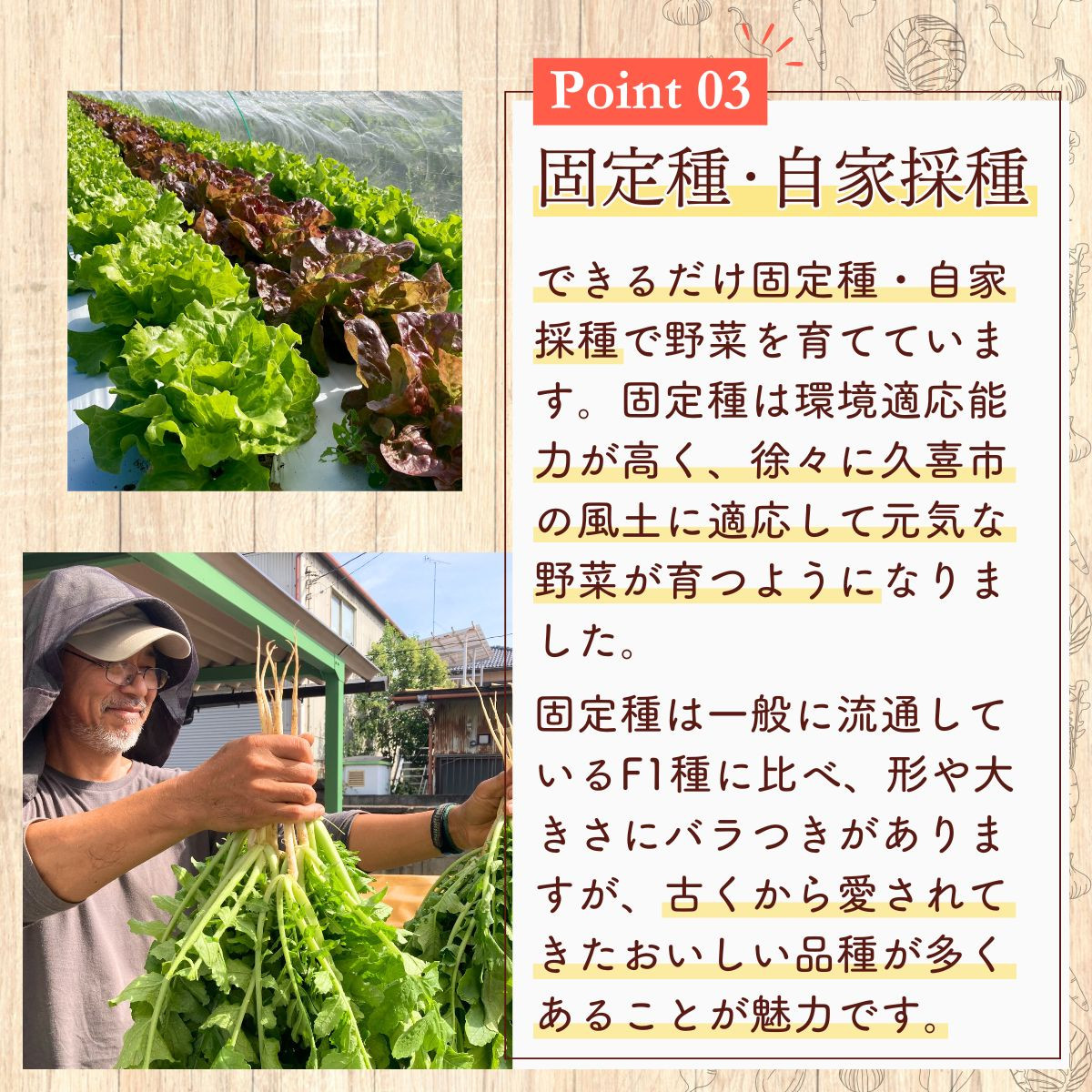 5・10品目から選べる】特別栽培 たかしま農園 採れたて 旬の野菜セット | 野菜 やさい 生野菜 おまかせ 詰め合わせ 無農薬 新鮮 季節 旬 食材  地元産 有機野菜 有機農業 農家 食育 健康 お取り寄せ 埼玉県 久喜市 - 埼玉県久喜市｜ふるさとチョイス - ふるさと納税サイト