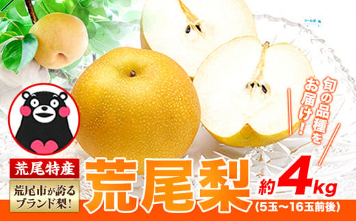 お申し込みはこちら