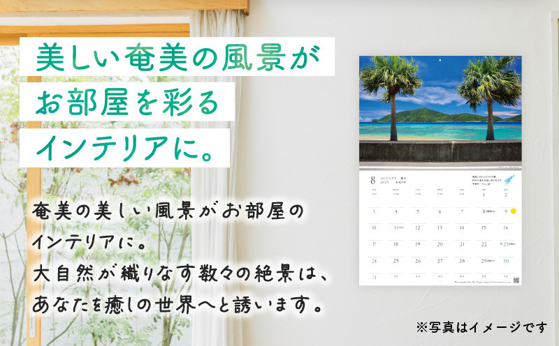 1冊 2025年 カレンダー 令和七年 SOU・SOU暦 大きかれ