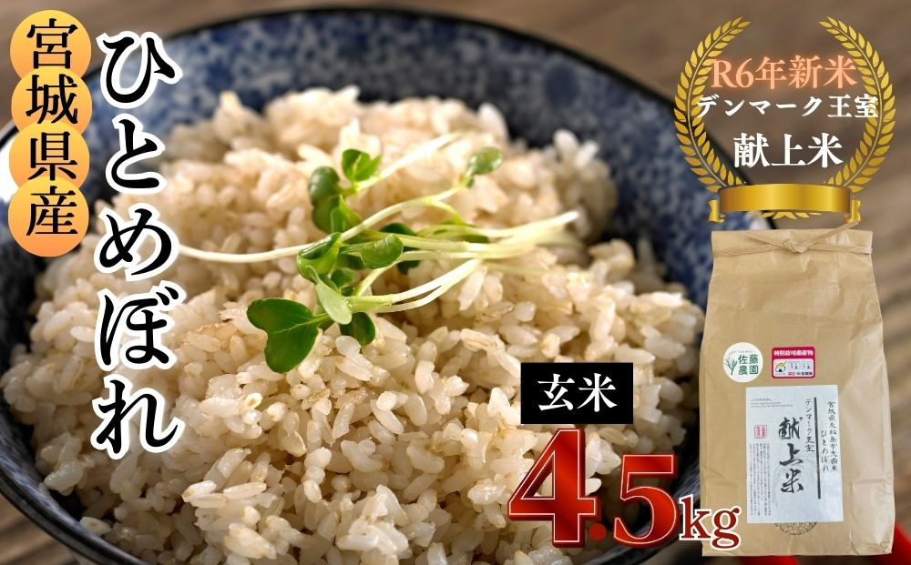 ふるさと納税 宮城県 石巻市 令和5年産 ヨシ腐葉土米精米 4品種食べ比べ 合計20kg（5kg×4袋） ふるさと納税 米 定期便 令和7年産 ＜定期便3回＞ヨシ