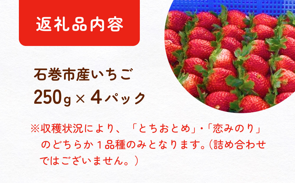 【即出荷】 2025年1月中旬より発送開始】いちご（恋みのり・とちおとめ 快適グッズ・旅行小物