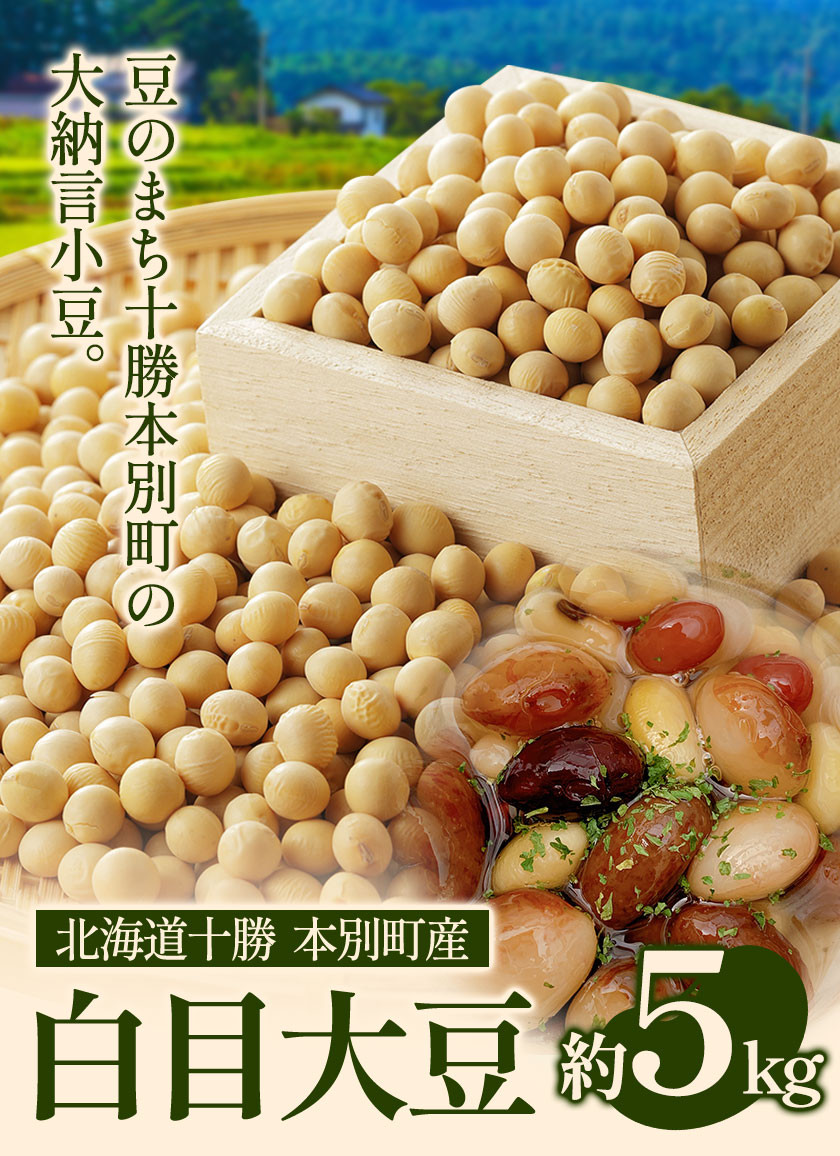 令和6年度産 北海道十勝 本別町産 白目大豆5kg《60日以内に出荷予定(土日祝除く)》本別町農業協同組合 送料無料 北海道 本別町 - 北海道本別町｜ふるさとチョイス  - ふるさと納税サイト