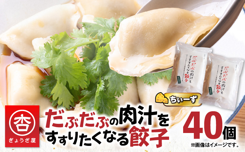 だぶだぶの肉汁をすすりたくなる餃子ちぃーず 40個 T060-003 - 北海道苫小牧市｜ふるさとチョイス - ふるさと納税サイト