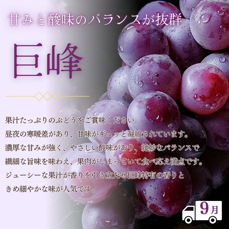 紀州和歌山産 巨峰ぶどう 約2kg の詳細はこちら