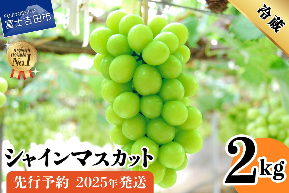 2025年先行予約】山梨県産シャインマスカット2kg(3～5房) フルーツ シャインマスカット 高級 2025年 先行予約 山梨 富士吉田 -  山梨県富士吉田市｜ふるさとチョイス - ふるさと納税サイト