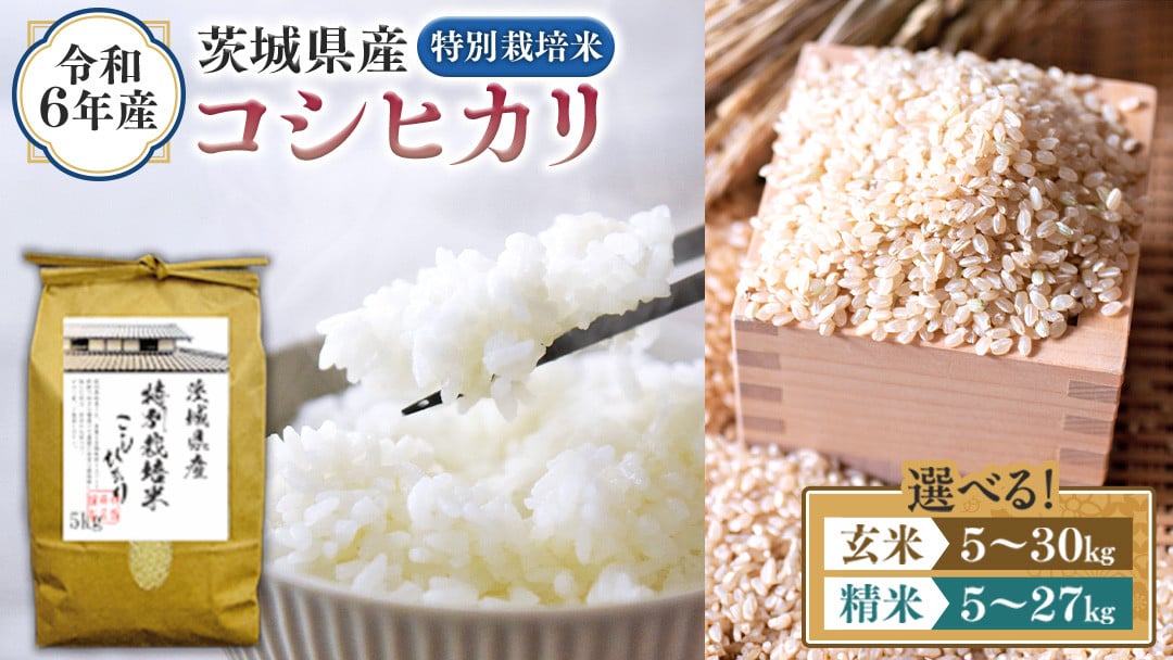 選べる内容量 ／ 令和6年産 茨城県産 コシヒカリ 特別栽培米 （精米 5kg・10kg・27kg / 玄米 5kg・10kg・30kg） 新米 白米  こしひかり 米 コメ こめ 単一米 限定 茨城県産 国産 美味しい お米 おこめ おコメ - 茨城県つくばみらい市｜ふるさとチョイス -  ふるさと納税サイト