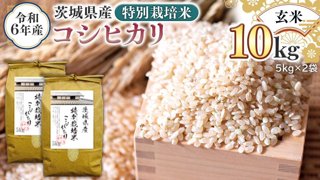 令和6年産 茨城県産 玄米 特別栽培米 コシヒカリ 10kg （5kg×2袋） 新米 こしひかり 米 コメ こめ 単一米 限定 茨城県産 国産  美味しい お米 おこめ おコメ - 茨城県つくばみらい市｜ふるさとチョイス - ふるさと納税サイト