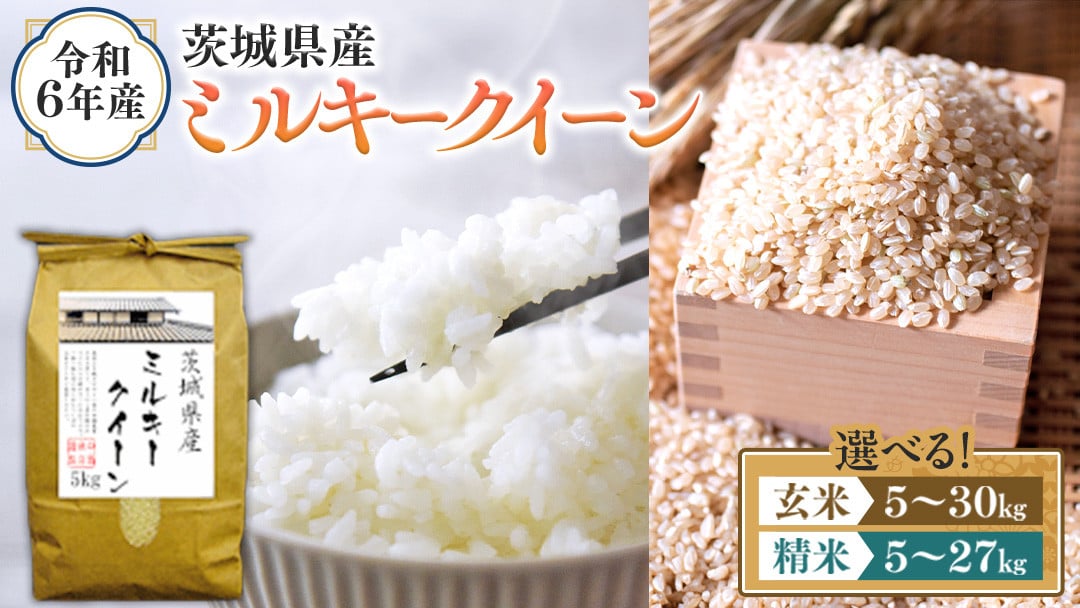 選べる内容量 ／ 令和6年産 茨城県産 ミルキークイーン （精米 5kg・10kg・27kg / 玄米 5kg・10kg・30kg） 新米 白米 米  コメ こめ 単一米 限定 茨城県産 国産 美味しい お米 おこめ おコメ - 茨城県つくばみらい市｜ふるさとチョイス - ふるさと納税サイト