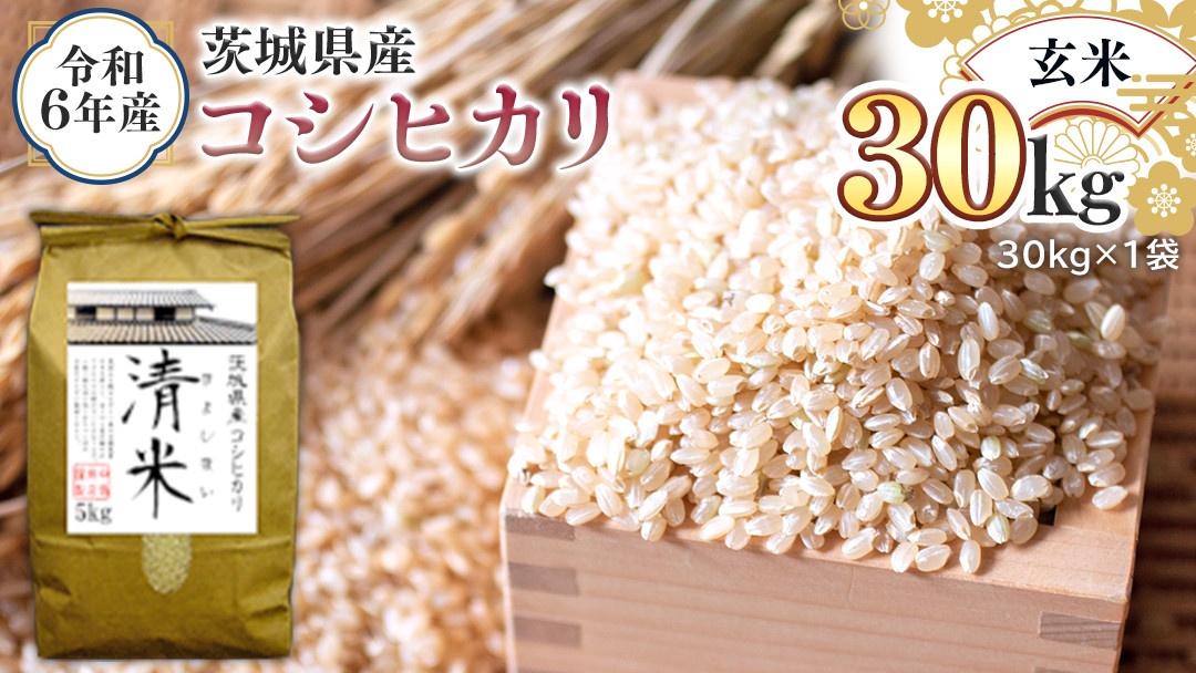 令和6年産 茨城県産 玄米 コシヒカリ 30kg（30kg×1袋） 新米 清米 キヨシマイ こしひかり 米 コメ こめ 単一米 限定 茨城県産 国産  美味しい お米 おこめ おコメ - 茨城県つくばみらい市｜ふるさとチョイス - ふるさと納税サイト