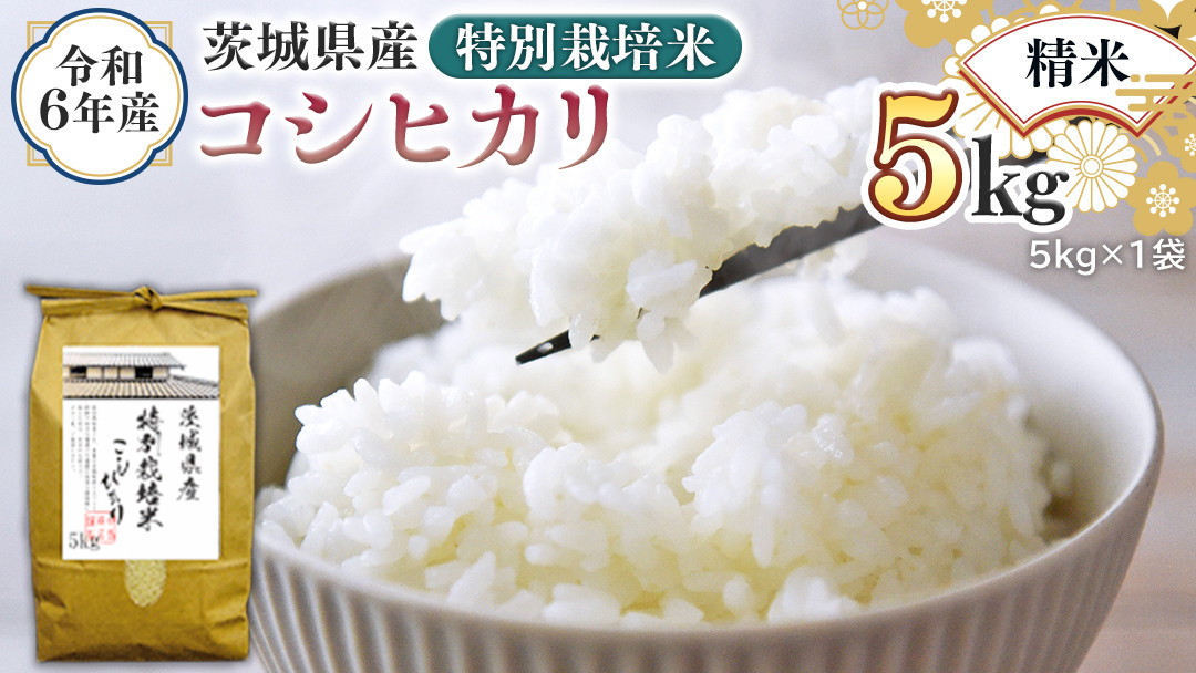 令和6年産 茨城県産 精米 特別栽培米 コシヒカリ 5kg （5kg×1袋） 新米 白米 こしひかり 米 コメ こめ 単一米 限定 茨城県産 国産  美味しい お米 おこめ おコメ - 茨城県つくばみらい市｜ふるさとチョイス - ふるさと納税サイト