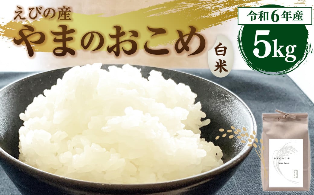 令和6年産】新米 えびの産 ヒノヒカリ やまのおこめ 5kg 白米 お米 米 国産 宮崎県 九州 ひのひかり 送料無料 おにぎり こめ コメ - 宮崎県 えびの市｜ふるさとチョイス - ふるさと納税サイト