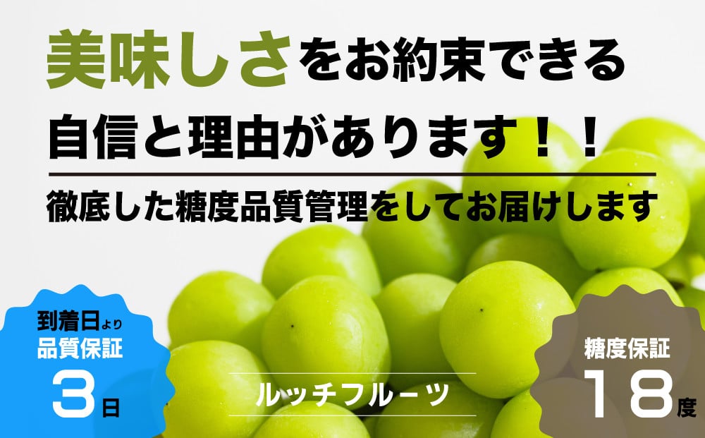 糖度18度保証付】シャインマスカット 約1kg 2～3房【2025年発送】＜数量限定＞旬の美味しいフルーツだけをお届けします【ルッチ  Rucci】産地直送 山梨県 笛吹市 糖度 品質 保証 葡萄 ぶどう 新鮮 旬 くだもの 果物 フルーツ 人気 ランキング リピート 高評価 ギフト  贈答 ...