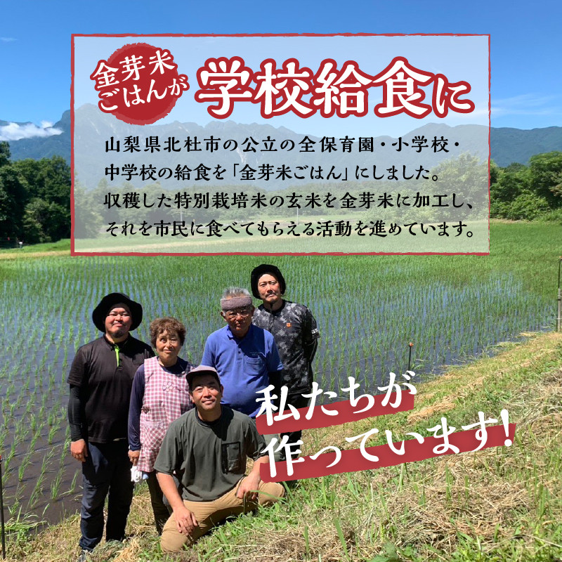 令和6年度新米先行予約】金芽米特別栽培米農林48号2kg×２ 令和6年度新米 先行予約 米 令和6年度米 無洗米 4kg 金芽米 農林48号 特別栽培米  お米 ごはん 国産 ブランド米 健康食品 山梨県 北杜市産 - 山梨県北杜市｜ふるさとチョイス - ふるさと納税サイト