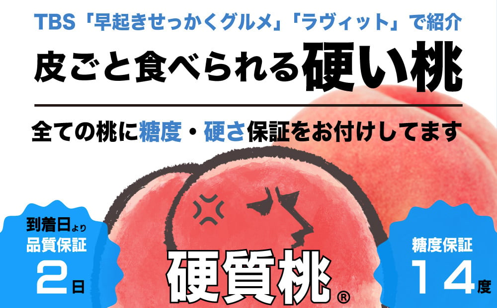 全玉糖度14度保証付】硬質桃 3玉 約1kｇ【2025年発送】『皮ごと食べられる硬い桃』＜数量限定＞旬の美味しいフルーツだけをお届けします【ルッチ  Rucci】産地直送 山梨県 笛吹市 糖度 品質 保証 硬い 固い 桃 もも モモ ピーチ 新鮮 くだもの 果物 フルーツ 人気 ...