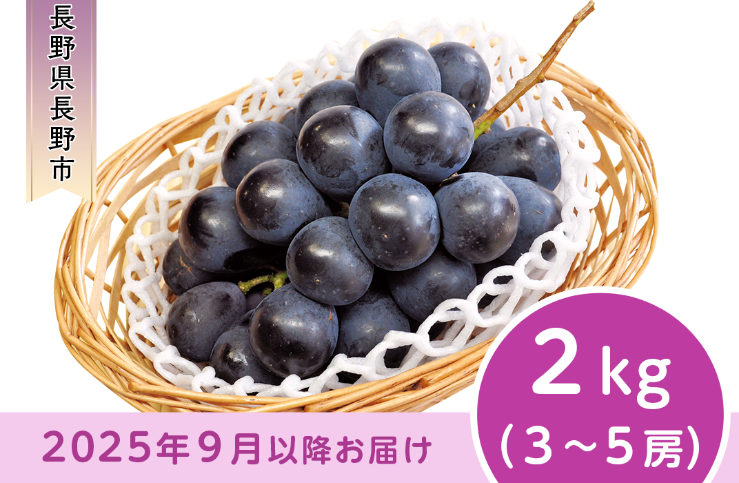 J0501 長野市産 ナガノパープル2kg【2025年9月以降出荷分】果物 くだもの フルーツ デザート 種無し 大粒 旬 長野県 長野市 - 長野県 長野市｜ふるさとチョイス - ふるさと納税サイト