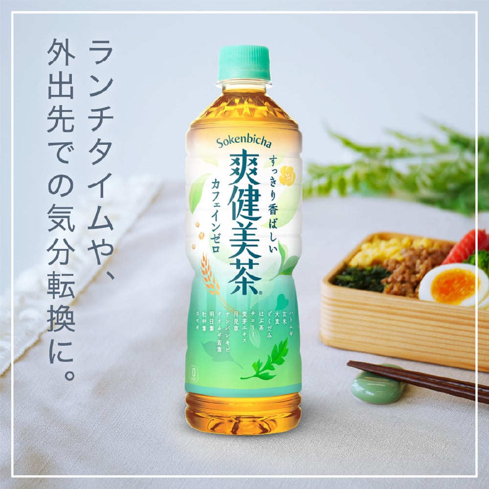 爽 健美 茶 ストア 500ml 24 本 最 安値