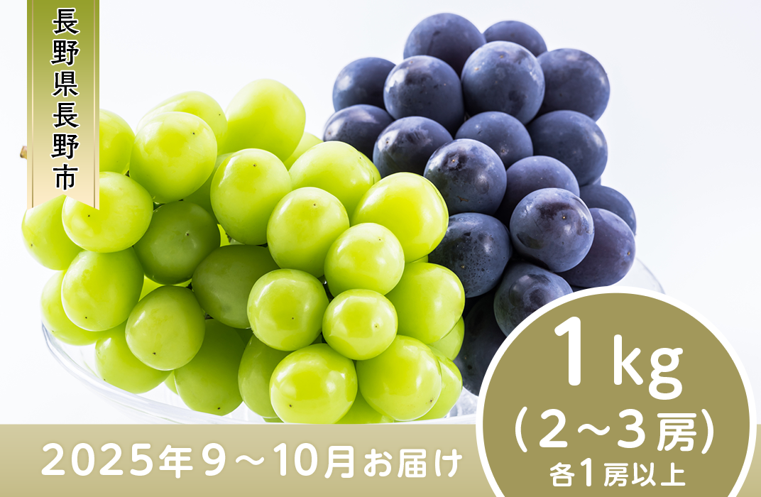 J0502 長野市産 ナガノパープル＆シャインマスカット詰合せ１kg【2025年9月以降出荷分】フルーツ ぶどう 葡萄 ブドウ 果物 人気 種なし  新鮮 期間限定 令和7年 2025年発送 おすすめ 産地 お届け 長野市 長野県 - 長野県長野市｜ふるさとチョイス - ふるさと納税サイト