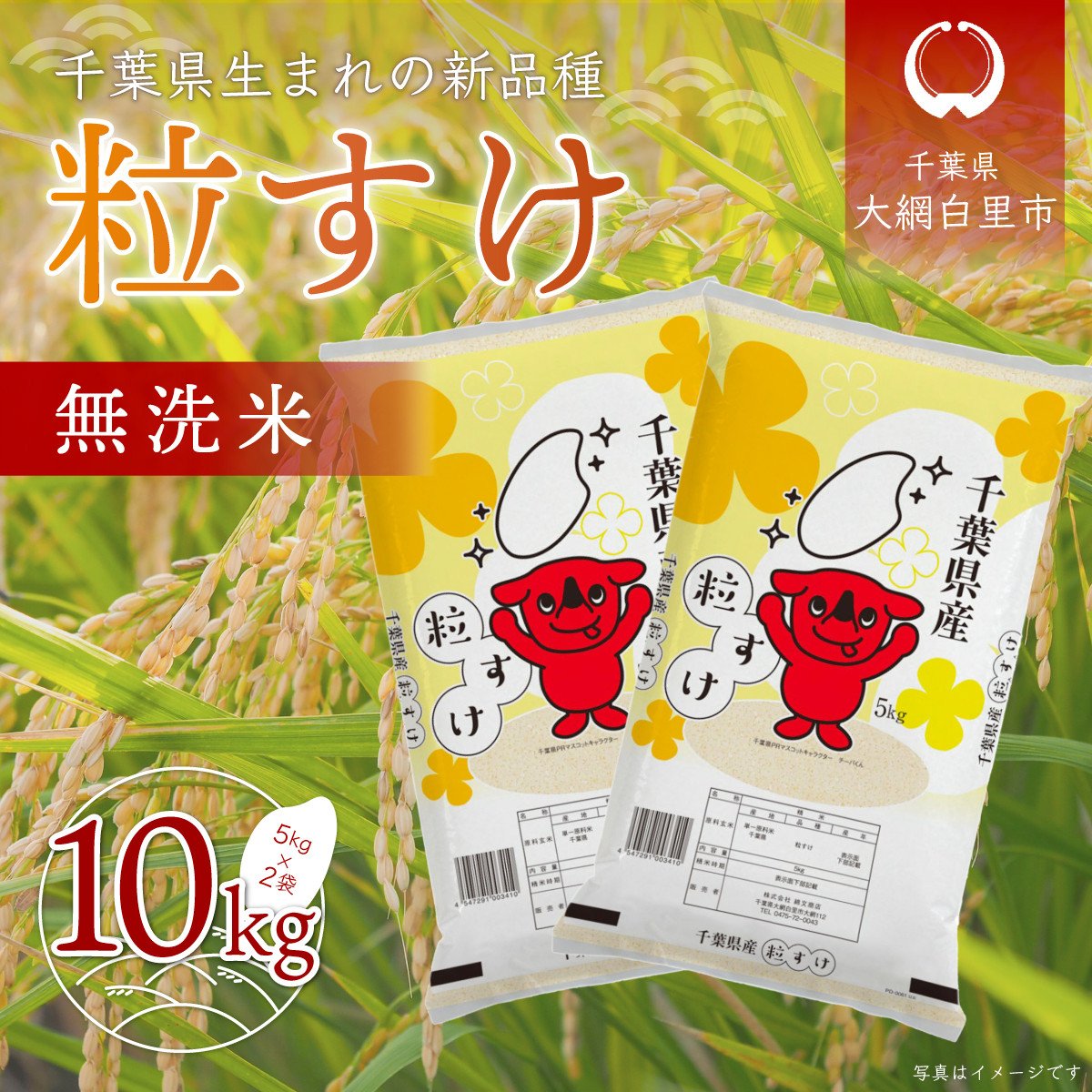 新米】令和6年産 千葉県産「粒すけ」10kg無洗米（5kg×2袋） お米 無洗米 10kg 千葉県産 大網白里市 粒すけ 米 こめ 送料無料 A044  - 千葉県大網白里市｜ふるさとチョイス - ふるさと納税サイト