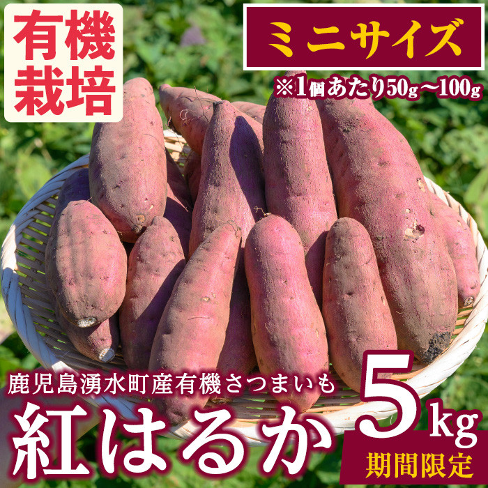 さつまいも　紅はるか　180本 0603d5c963ec67284503d6716b628e