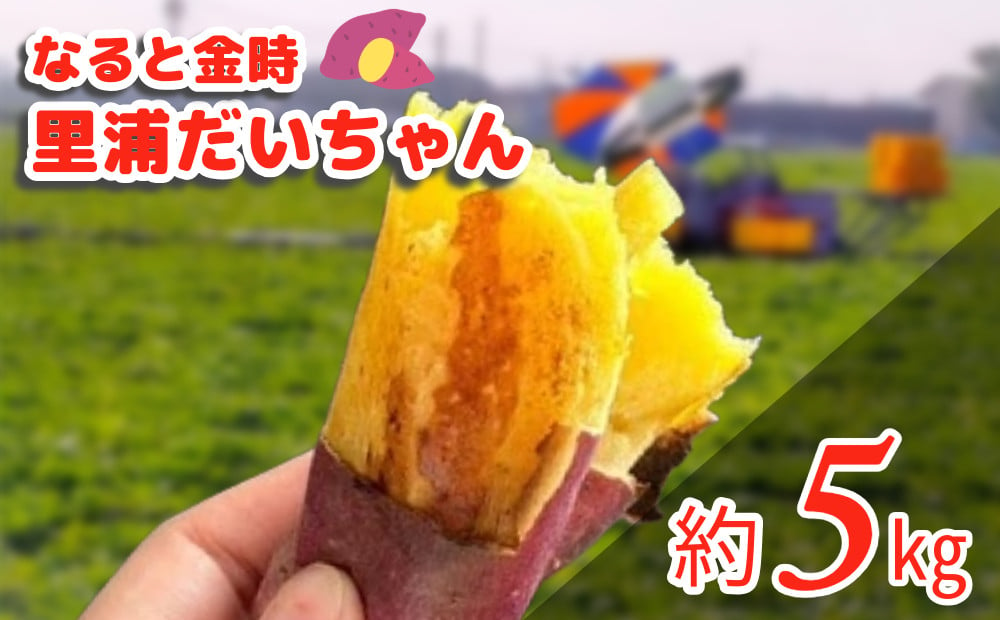 鳴門産 さつまいも 『 里浦だいちゃん 』 5kg | なると金時 甘い ホクホク スイーツ 焼き芋 干し芋 天ぷら サラダ けんぴ きんつば -  徳島県鳴門市｜ふるさとチョイス - ふるさと納税サイト