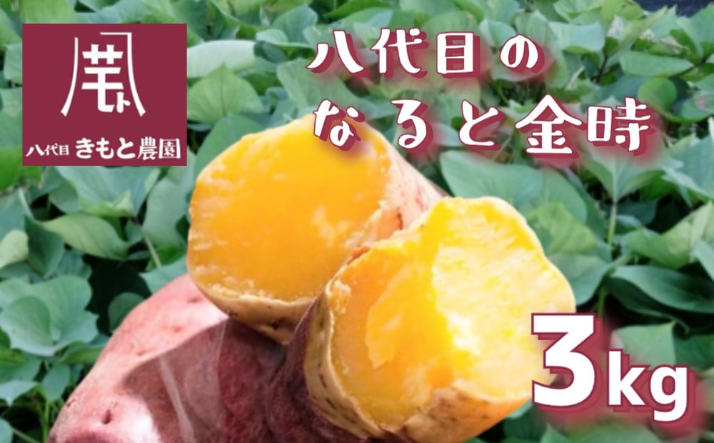 木元農園】八代目の なると金時 約3kg | さつまいも 鳴門金時 熟成 国産 スイーツ 焼き芋 干し芋 味噌汁 天ぷら サラダ スープ - 徳島県鳴門市｜ふるさとチョイス  - ふるさと納税サイト