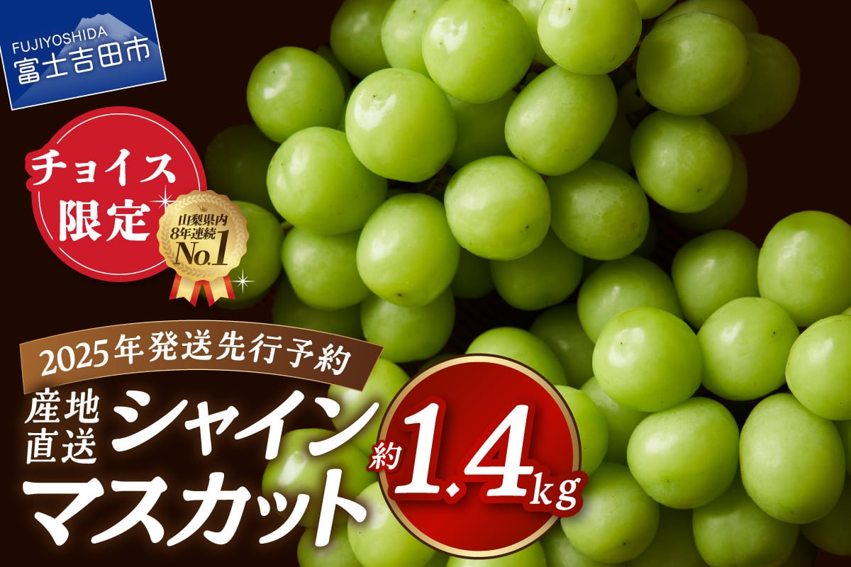 チョイス限定 】【2025年先行予約】高級 山梨県産 シャインマスカット 2～3房 （約1.4kg） 果物 旬 先行予約 フルーツ 高級 2025年発送  シャイン ぶどう 山梨 富士吉田 - 山梨県富士吉田市｜ふるさとチョイス - ふるさと納税サイト