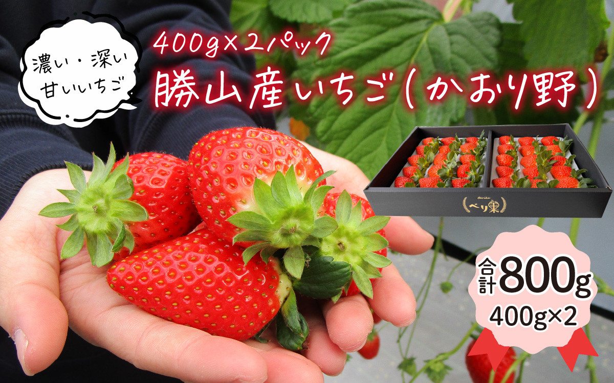 先行予約】勝山産いちご（かおり野）400g×2パック ※2024年12月中旬より順次発送 [A-045006] - 福井県勝山市｜ふるさとチョイス -  ふるさと納税サイト