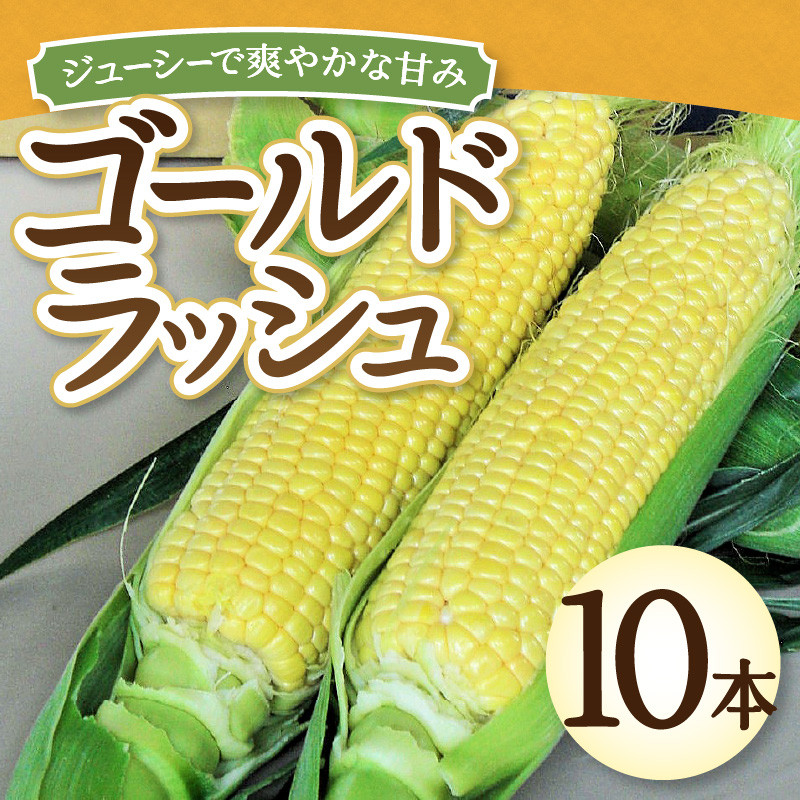 2025年度配送分〉とうもろこし「ゴールドラッシュ」 10本（2025年6月上旬～下旬にかけて順次配送予定） - 山梨県甲府市｜ふるさとチョイス -  ふるさと納税サイト