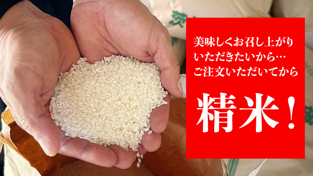 令和6年新米】茨城県産 コシヒカリ 5kg 令和6年産 新米 単一原料米 精米 米 お米 コメ 白米 こしひかり 茨城県 [BC084sa] - 茨城県桜川市｜ふるさとチョイス  - ふるさと納税サイト