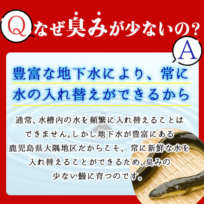 お礼の品人気No1】【数量限定！肝串付き】霧島湧水鰻の蒲焼き 160g以上×5尾＜計800g以上＞＆肝串2本付き！ うなぎ 鰻 ウナギ 5尾 国産  九州産 蒲焼き かばやき 冷凍 うな重 ひつまぶし タレ 山椒 ランキング 人気 c0-103-km - 鹿児島県志布志市｜ふるさとチョイス ...