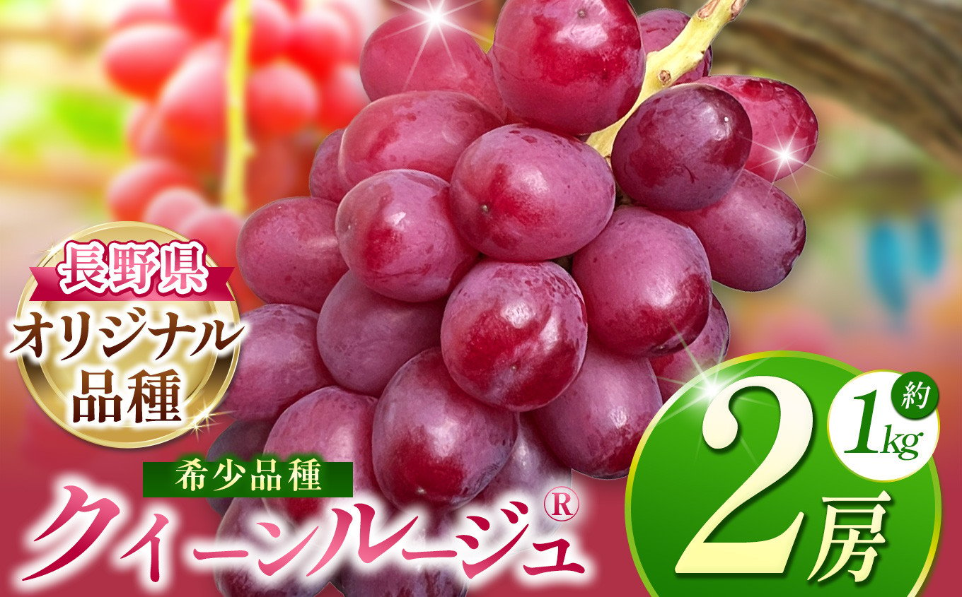 2025年 先行予約】 クイーンルージュ 2房 | 果物 くだもの フルーツ 葡萄 ぶどう ブドウ 長野県 塩尻市 - 長野県塩尻市｜ふるさとチョイス  - ふるさと納税サイト