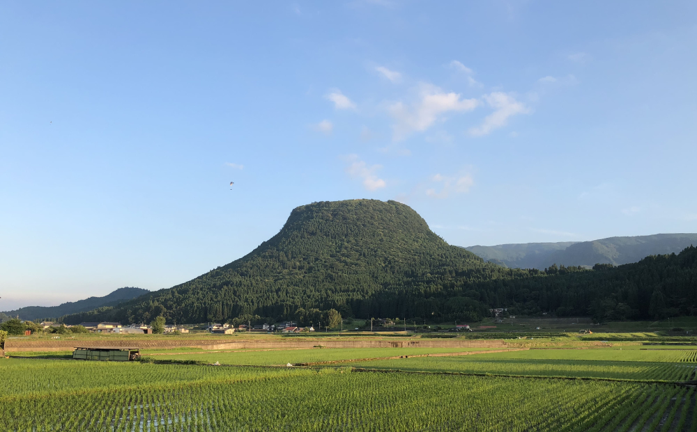 天然のミネラルを豊富に含むシリカ水