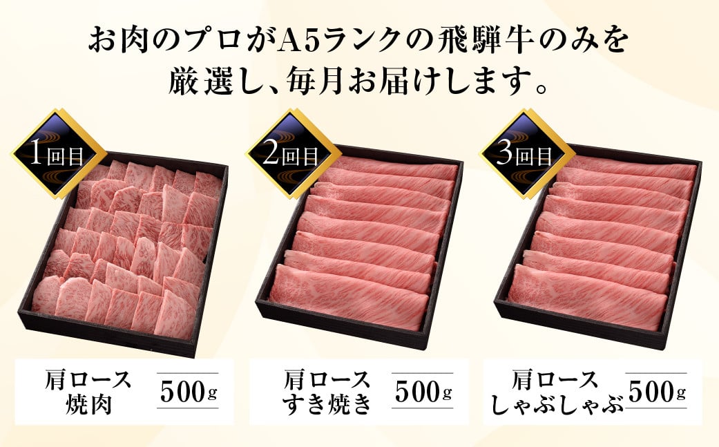 定期便 3回】高級 飛騨牛食べ比べ 定期便 3カ月 毎月 【冷蔵配送】 定期 贈答 ギフト 牛肉 焼き肉 牛 下呂 焼肉 ブランド牛 下呂魚介 肩ロース  すき焼き しゃぶしゃぶ 下呂市 - 岐阜県下呂市｜ふるさとチョイス - ふるさと納税サイト