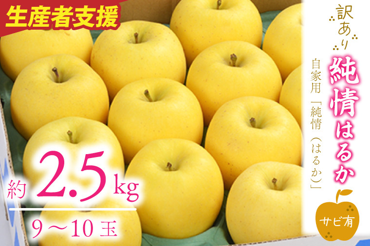 寄附額：13,000円