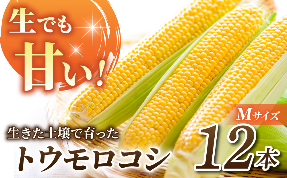 画像はイメージです。