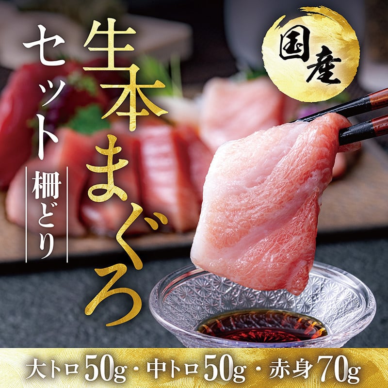 冷蔵・指定日着可】絶品！国産生本マグロ堪能セット 大トロ約50g + 中トロ約50g + 赤身約70g 合計約170g（柵どり） - 福井県越前市｜ ふるさとチョイス - ふるさと納税サイト