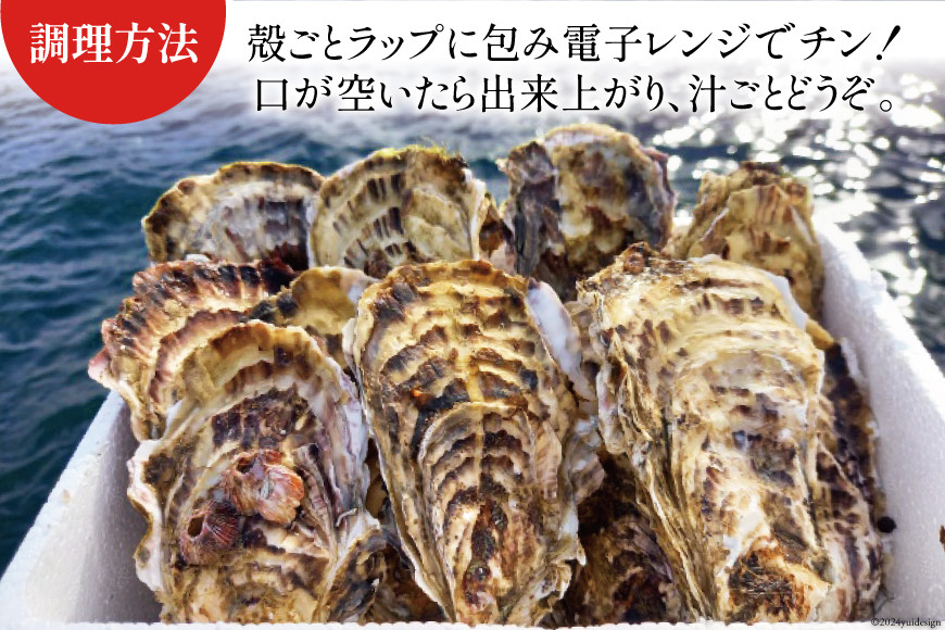 期間限定発送】牡蠣 南三陸志津川産 殻付き牡蠣 5.5kg 30個前後 [南三陸牡蠣倶楽部 宮城県 南三陸町 30ao0002] カキ かき 生牡蠣  魚貝類 生牡蠣 貝 海鮮 魚介類 オイスター カキフライ カキ鍋 アヒージョ 魚介 期間限定 冷蔵 新鮮 濃厚 - 宮城県南三陸町｜ふるさと ...