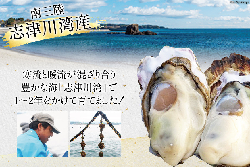 期間限定発送】牡蠣 南三陸志津川産 殻付き牡蠣 8.5kg 50個前後 [南三陸牡蠣倶楽部 宮城県 南三陸町 30ao0003 カキ かき 生牡蠣  魚貝類 生牡蠣 貝 海鮮 魚介類 オイスター カキフライ カキ鍋 アヒージョ 魚介 期間限定 冷蔵 新鮮 濃厚 - 宮城県南三陸町｜ふるさとチョイス  ...